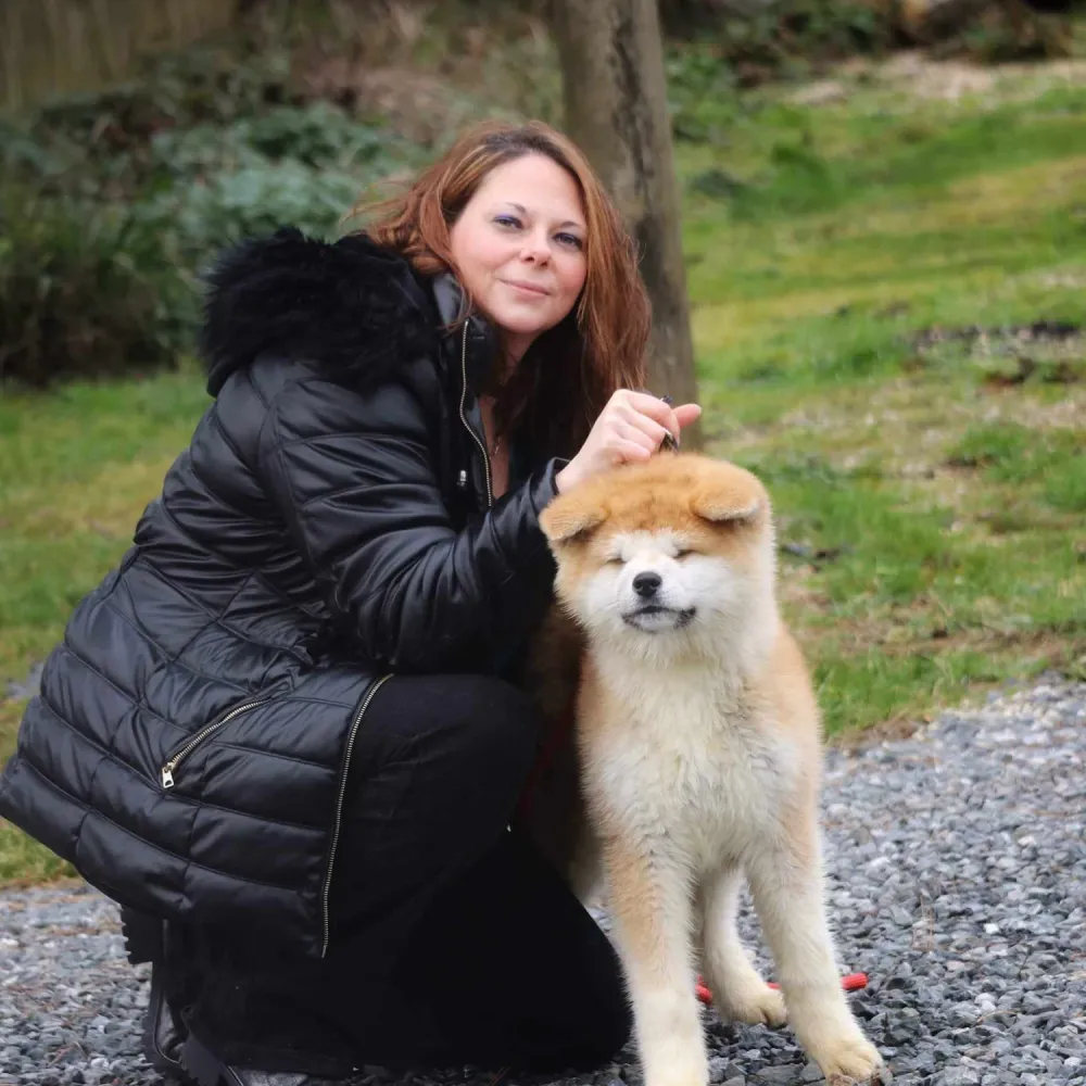 elevage-chiens-akita-inu_la-joaillerie-de-la-cour_vanessa